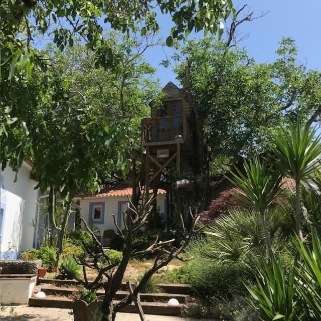 Casa Oliva - Casa Da Serra Porto de Mos  Exterior photo